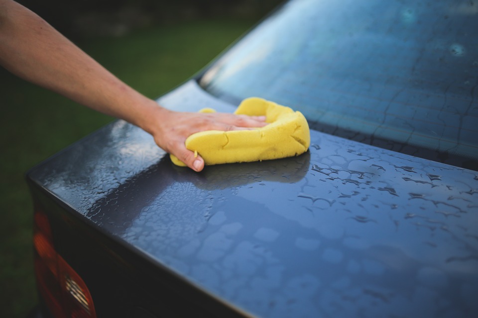 How bird poop damages car paint