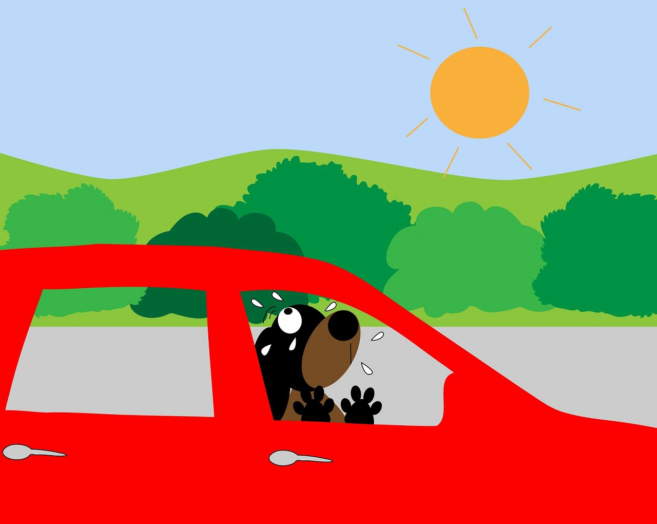 Driving safely with dogs