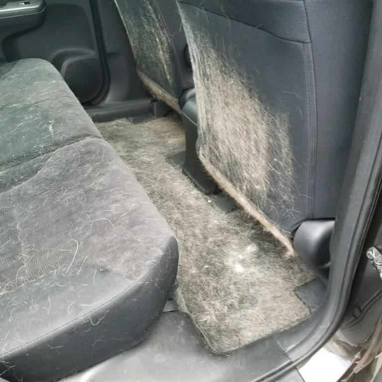 Easy Way To Get Dog Hair Out Of Car Carpet Car Retro